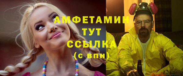 гидра Надым