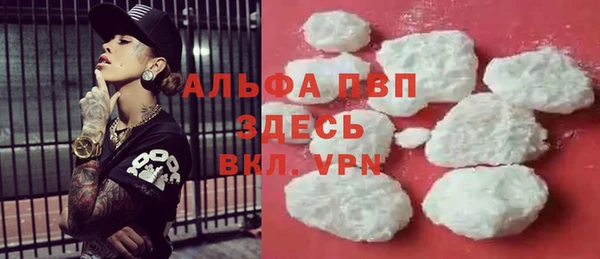гидра Надым