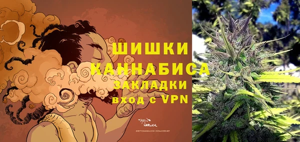 гидра Надым