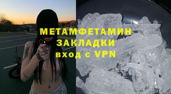 гидра Надым