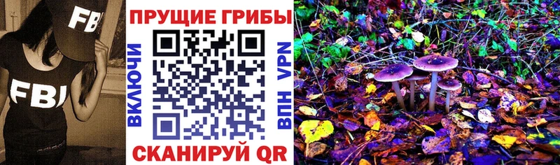 Купить закладки  Карабаново  Псилоцибиновые грибы MAGIC MUSHROOMS 